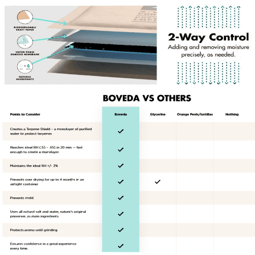 bovedainfographgico